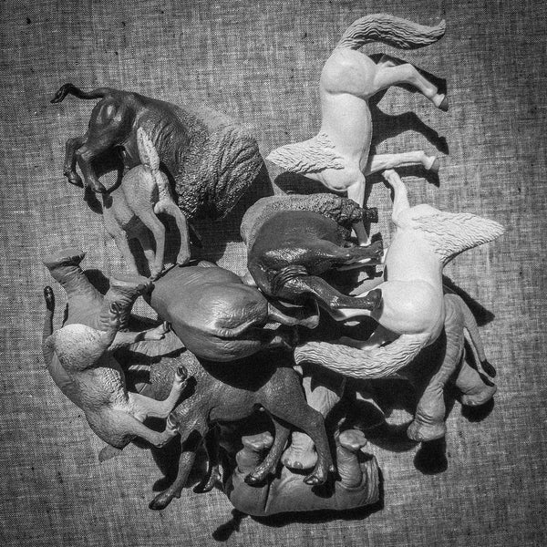 black and white photo of a stack of animal toys with heads missing two each of horse buffalo deer rhino moose bison and elephant