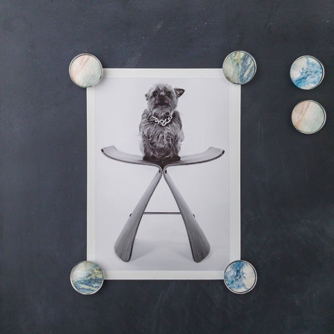 6 glass magnets with marbled granite artwork holding artistic dog picture onto magnetic chalkboard